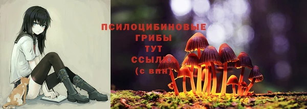 прущая мука Михайловка