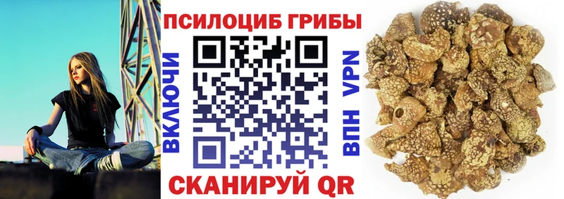 ссылка на мегу ONION  Гусиноозёрск  Псилоцибиновые грибы мицелий 