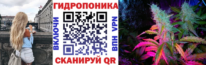 МАРИХУАНА Amnesia Гусиноозёрск